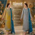 Kainaat luxury embroidered organza frock suit full view
